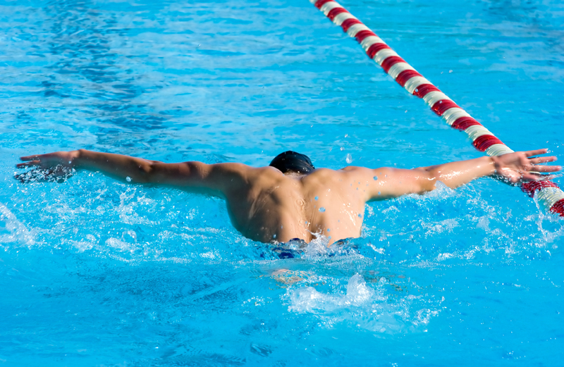 Swimming fly